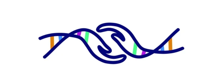 лейк
