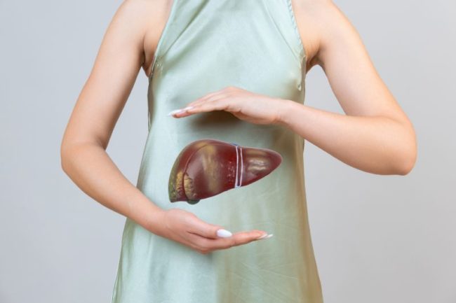 woman holding liver in the hands. Help and care concept
